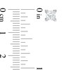Thumbnail Image 3 of 0.58 CT. T.W. Princess-Cut Diamond Solitaire Stud Earrings in 14K Rose Gold
