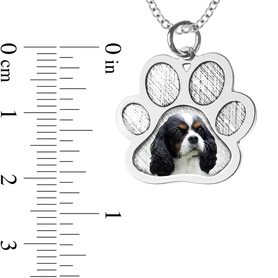 Engravable Photo Textured Paw Print Pet Pendant in 10K White, Yellow or Rose Gold (1 Image and 2 Lines)