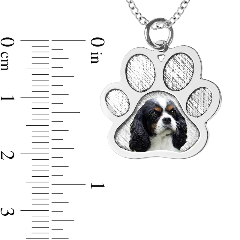 Engravable Photo Textured Paw Print Pet Pendant in 10K White, Yellow or Rose Gold (1 Image and 2 Lines)