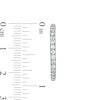 Thumbnail Image 3 of 0.95 CT. T.W. Certified Lab-Grown Diamond Hoop Earrings in 14K White Gold (F/SI2)