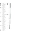 Vera Wang Love Collection 0.29 CT. T.W. Black Diamond Linear Drop Earrings in Sterling Silver
