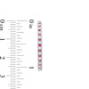 Thumbnail Image 2 of Alternating Ruby and 0.40 CT. T.W. Diamond Inside-Out Hoop Earrings in 10K White Gold