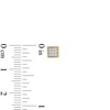 Thumbnail Image 3 of Men's 0.05 CT. T.W. Composite Diamond Greek Key Border Square Stud Earrings in 10K Gold