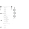 Thumbnail Image 3 of 0.15 CT. T.W. Composite Diamond Wavy Drop Earrings in 10K White Gold