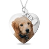 Thumbnail Image 0 of Engravable Photo Heart Dog Pendant with Name Bone Charm in Sterling Silver (1 Image, 1 Name and 4 Lines)