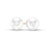 Thumbnail Image 0 of IMPERIAL® 6.0-6.5mm Cultured Akoya Pearl Stud Earrings in 14K Gold