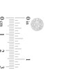 Thumbnail Image 3 of 1.00 CT. T.W. Certified Lab-Grown Diamond Frame Stud Earrings in 14K White Gold (F/SI2)