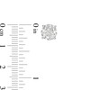 Thumbnail Image 3 of 3.96 CT. T.W. Diamond Solitaire Stud Earrings in 10K White Gold (I/I3)