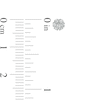 Thumbnail Image 2 of 0.20 CT. T.W. Composite Diamond Flower Stud Earrings in 10K White Gold