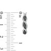 Black Enhanced and White Diamond Accent Twist Hoop Earrings in Sterling Silver