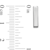 Thumbnail Image 2 of Three-Dimensional Vertical Bar Stud Earrings in 14K White Gold