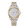 Thumbnail Image 0 of Ladies' Citizen Eco-Drive® Corso Two-Tone Watch with Mother-of-Pearl Dial (Model: EO1224-54D)
