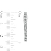 Thumbnail Image 2 of Marilyn Monroe™ Collection 0.50 CT. T.W. Baguette Diamond Hoop Earrings in 10K White Gold