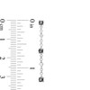 Thumbnail Image 3 of 0.45 CT. T.W. Black and White Diamond Dangle Strand Drop Earrings in Sterling Silver