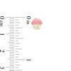 Thumbnail Image 2 of Child's Pink and White Enamel Cupcake Stud Earrings in 14K Gold