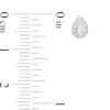 Thumbnail Image 3 of 0.33 CT. T.W. Diamond Pear-Shaped Frame Stud Earrings in 10K White Gold