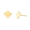 Thumbnail Image 0 of Maple Leaf Stud Earrings in 10K Gold