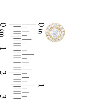 CT. T.W. Diamond Frame Stud Earrings in 10K Gold