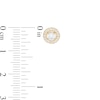 Thumbnail Image 3 of 0.50 CT. T.W. Diamond Frame Stud Earrings in 10K Gold