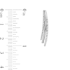 Thumbnail Image 3 of 0.25 CT. T.W. Diamond Triple Layer Oval Hoop Earrings in 10K White Gold