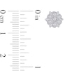Thumbnail Image 3 of 0.11 CT. T.W. Diamond Honeycomb Stud Earrings in 10K White Gold