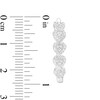Thumbnail Image 2 of 0.50 CT. T.W. Heart-Shaped Multi-Diamond Frame Hoop Earrings in 10K White Gold