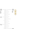 Cubic Zirconia Sideways "XO" Stud Earrings in 10K Gold