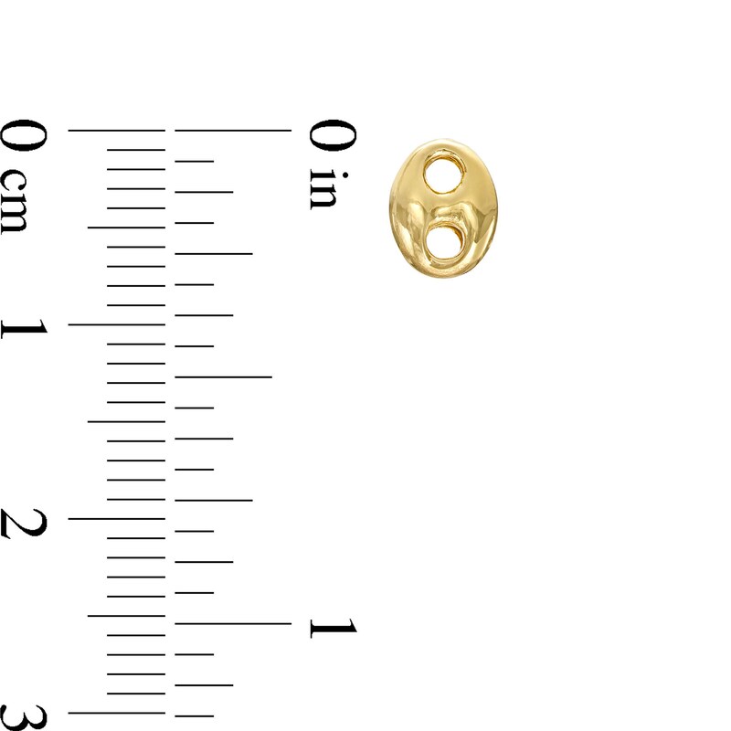 Mariner Chain Stud Earrings in Hollow 10K Gold