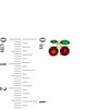 Thumbnail Image 3 of Garnet and Marquise Lab-Created Emerald Cherries Stud Earrings in 10K Gold