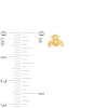 Thumbnail Image 3 of 5.7mm Bee Stud Earrings in 14K Gold
