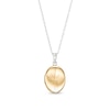 Thumbnail Image 0 of North Star 20.0mm Oval-Shaped Locket in Sterling Silver and 10K Gold