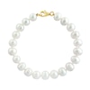 EFFY™ Collection 7.5-8.0mm Freshwater Cultured Pearl Strand Necklace, Strand Bracelet and Stud Earrings Set in 14K Gold