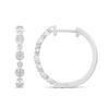 Thumbnail Image 1 of Alternating 0.23 CT. T.W. Multi-Diamond Hoop Earrings in 10K White Gold