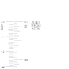 Thumbnail Image 3 of 2.00 CT. T.W. Diamond Solitaire Stud Earrings in 10K White Gold (J/I3)