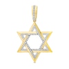 Thumbnail Image 1 of Men's 0.25 CT. T.W. Diamond Star of David Necklace Charm in 10K Gold