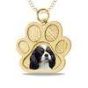 Thumbnail Image 1 of Engravable Photo Textured Paw Print Pet Pendant in 10K White, Yellow or Rose Gold (1 Image and 2 Lines)