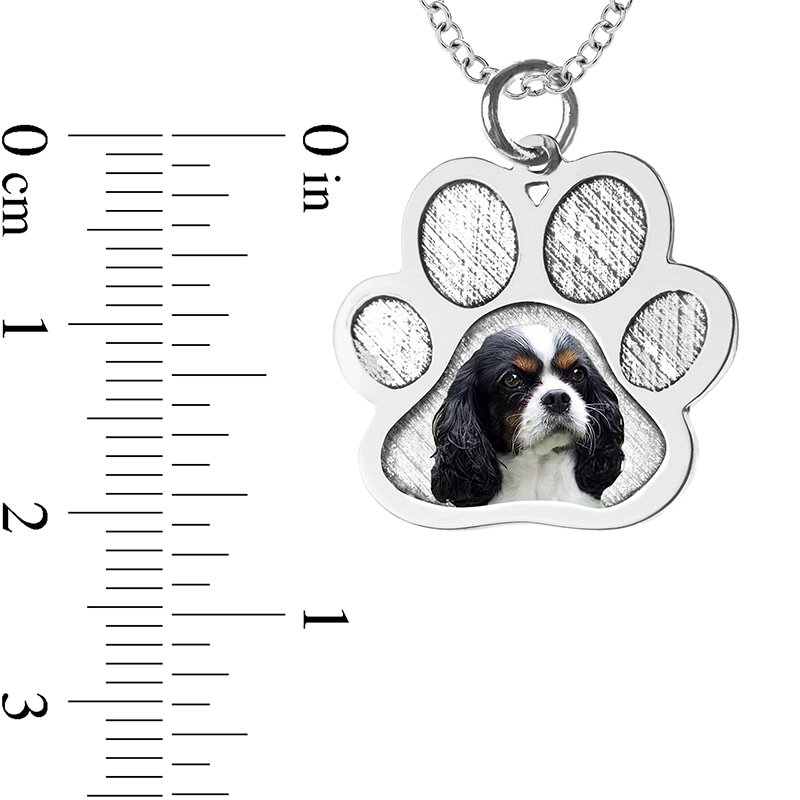 Main Image 4 of Engravable Photo Textured Paw Print Pet Pendant in 10K White, Yellow or Rose Gold (1 Image and 2 Lines)