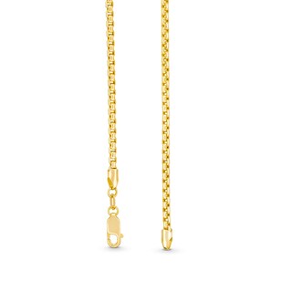 2.5mm Rounded Box Chain Necklace in Hollow 10K Gold - 22”