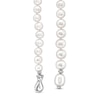 Thumbnail Image 3 of Freshwater Cultured Pearl Adjustable Strand Necklace in Sterling Silver-21"