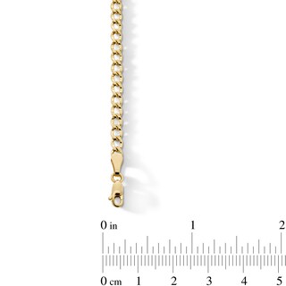 3.6mm Curb Chain Bracelet in Hollow 10K Gold - 7.25"