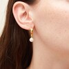 Thumbnail Image 2 of 7.5-8.0mm Freshwater Cultured Pearl Dangle Hoop Earrings in Sculpted Hollow 14K Gold