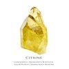 Citrine and Green Tourmaline with Diamond Accent Tree Pendant in Sterling Silver with 24K Gold Plate - 26"