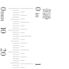Thumbnail Image 2 of 0.50 CT. T.W. Oval Certified Lab-Grown Diamond Solitaire Stud Earrings in 14K White Gold (F/SI2)