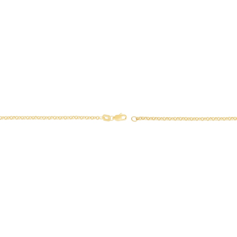 2.4mm Rolo Chain Anklet in Hollow 10K Gold - 10"