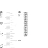Thumbnail Image 3 of 1.00 CT. T.W. Lab-Grown Diamond Double-Row Hoop Earrings in Sterling Silver (F/SI2)