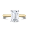 &nbsp;