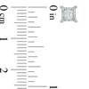 Thumbnail Image 2 of Previously Owned - 0.25 CT. T.W. Princess-Cut Diamond Solitaire Stud Earrings in 10K White Gold