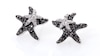 0.12 CT. T.W. Enhanced Black and White Diamond Starfish Stud Earrings in Sterling Silver
