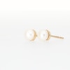 5.0mm Freshwater Cultured Pearl Button Stud Earrings in 10K Gold