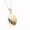 North Star 20.0mm Oval-Shaped Locket in Sterling Silver and 10K Gold